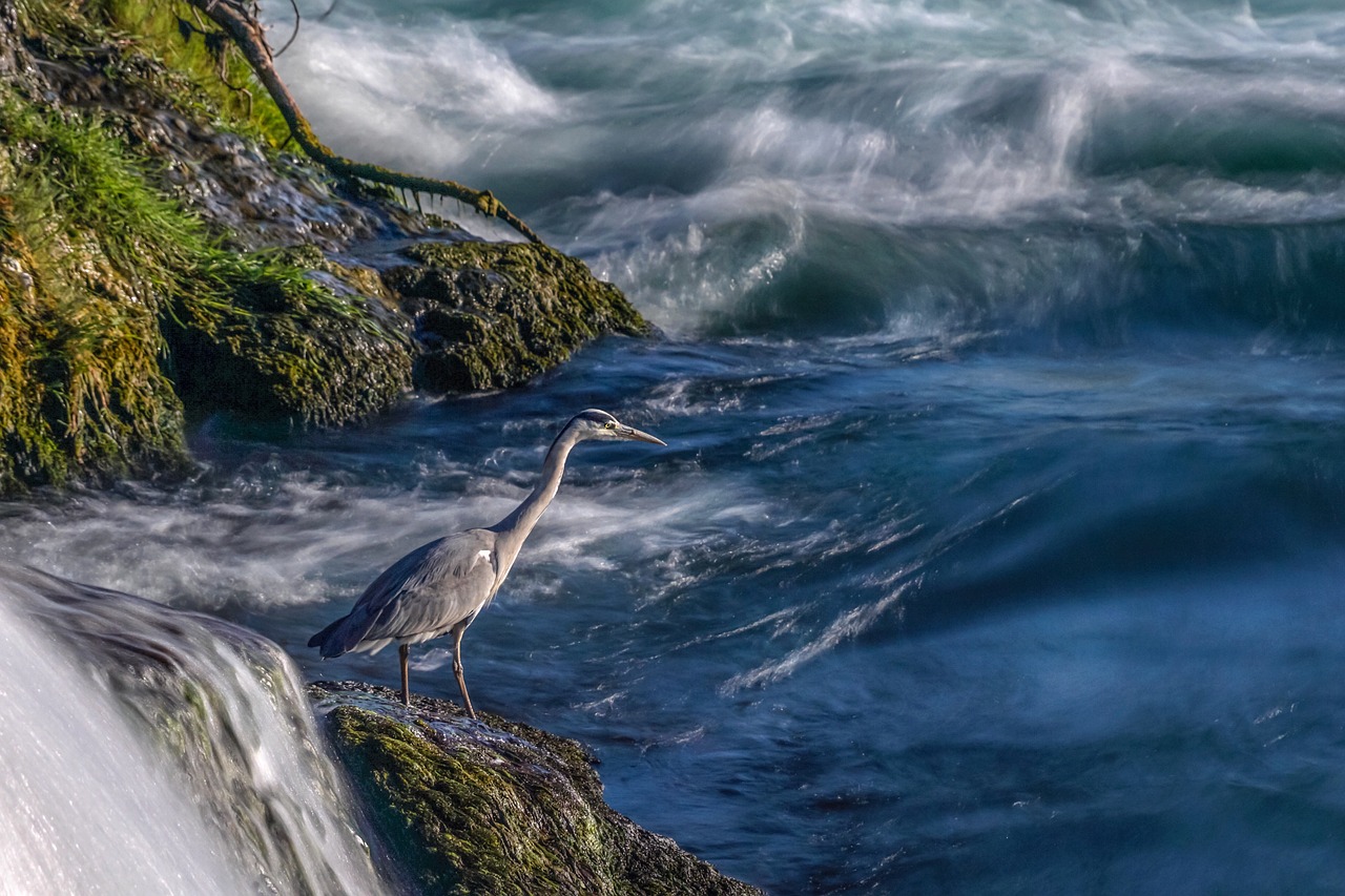 Best Practices for Photographing Waterfalls and Rivers